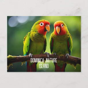 CARTÃO POSTAL NATUREZA ILHA DE PARROGAS DOMINICA