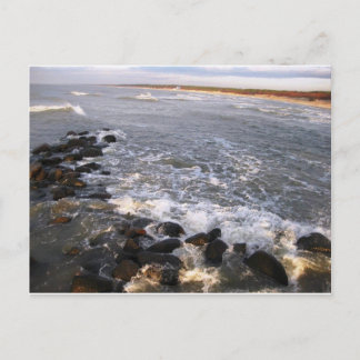 Cartão postal "Natureza. Lituânia, Palanga"