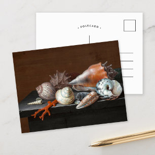 Cartão Postal Natureza Morta com Conchas Johann Jakob Dietzsch