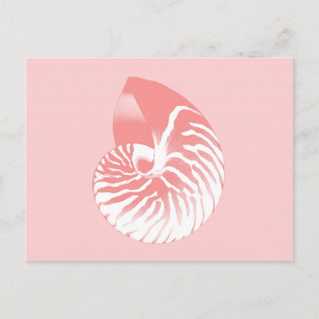 Cartão Postal Nautilus - coral rosa e branco (Frente)