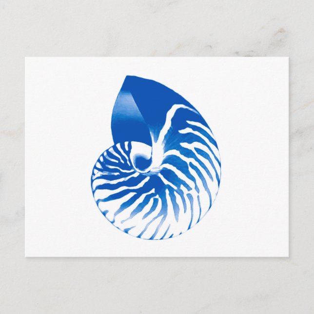 Cartão Postal Nautilus shell - azul de cobalto e branco (Frente)