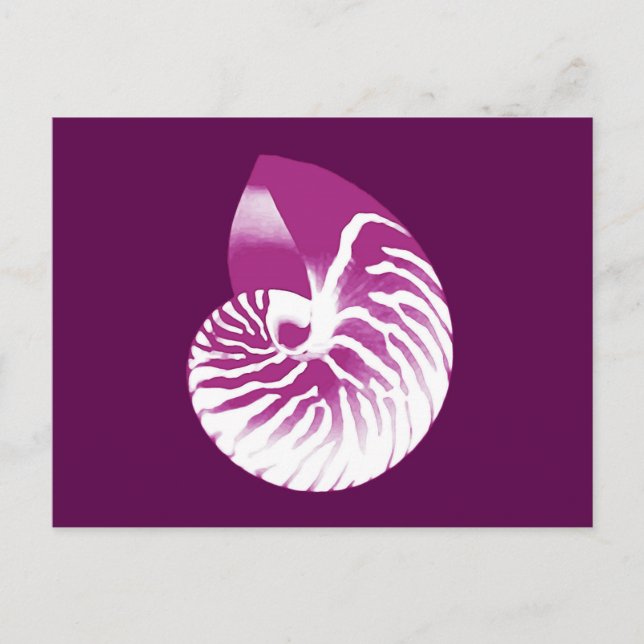 Cartão Postal Nautilus shell - berinjela roxa e branca (Frente)