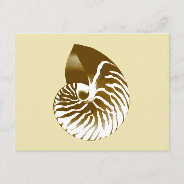Cartão Postal Nautilus shell - castanho, branco e bege (Frente)
