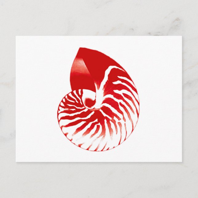 Cartão Postal Nautilus shell - vermelho escuro e branco (Frente)