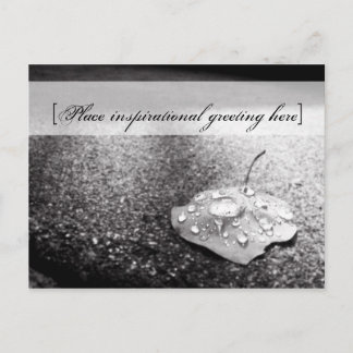 Cartão postal - Navio