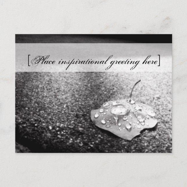 Cartão postal - Navio (Frente)