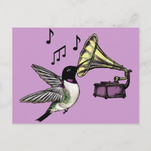 Cartão Postal Néctar Auditório