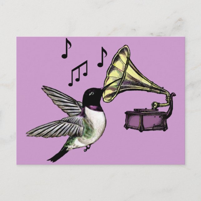 Cartão Postal Néctar Auditório (Frente)