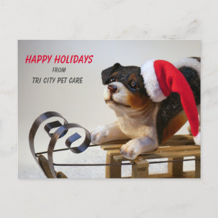 Cartão Postal Negócios de Cuidados com Animais de Estimação Cach