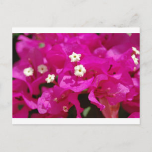 Cartão Postal Negril, Jamaica