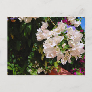 Cartão Postal Negril, Jamaica