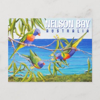Cartão Postal Nelson Bay Austrália Birds Lorikeet Beach Painting