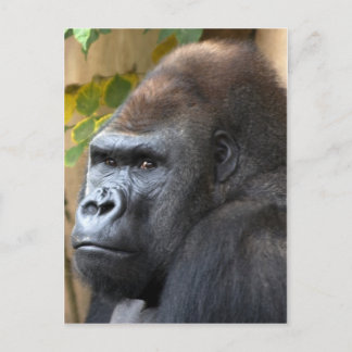 Cartão Postal Nem pense...