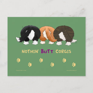 Cartão Postal Nenhum Bumbum Corgis PostCards