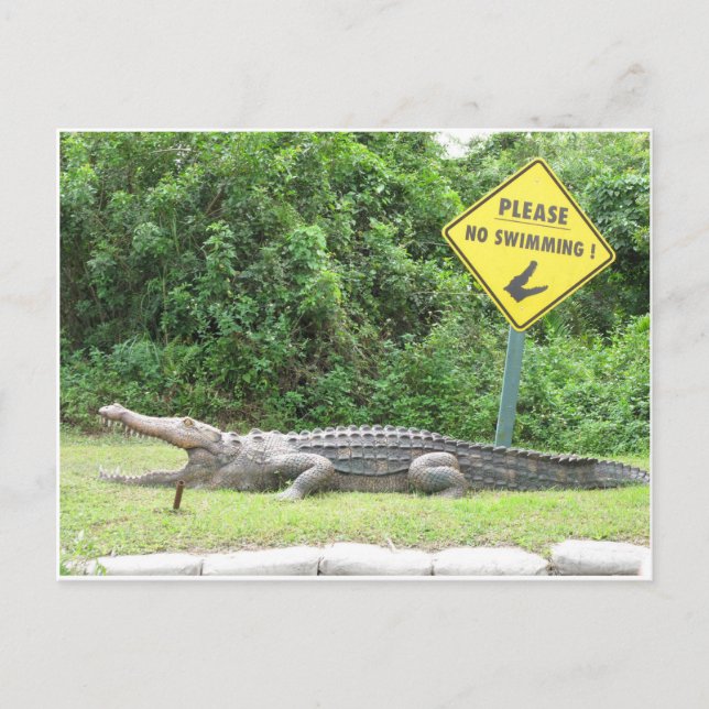 Cartão Postal Nenhuma natação! (Frente)
