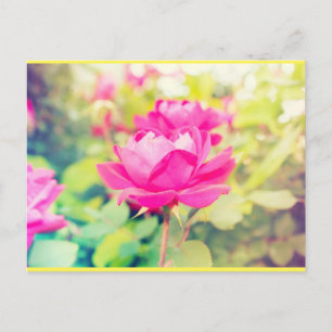 Cartão Postal Neon Garden Dreams