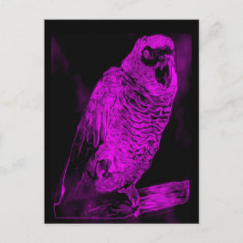 Cartão Postal Neon Parrot