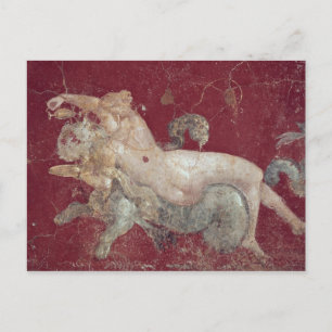 Cartão Postal Nereid é um tigre-do-mar, de Stability