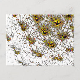 Cartão Postal Neural Network Card