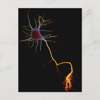 Cartão Postal Neurociência, neurônio, ciência