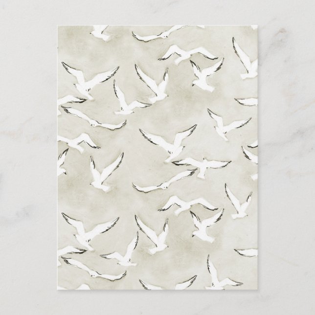 Cartão Postal Neutral Seagull Bird Ocean Card. (Frente)