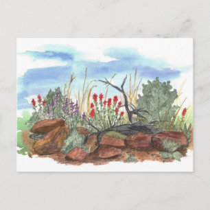 Cartão Postal Nevada Desert Indian Paintbrush Watercolor