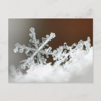 Cartão Postal Nevasca de 2009