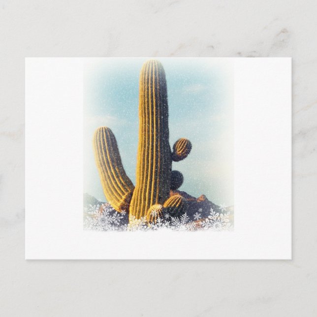 Cartão Postal Neve caindo em Saguaro (Frente)