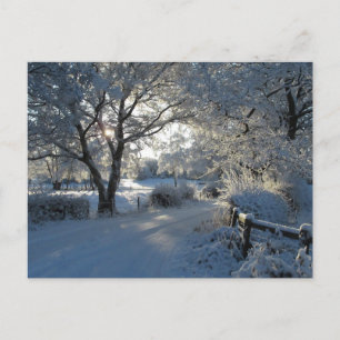 Cartão Postal Neve de Inverno