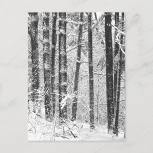 Cartão Postal Neve de Inverno