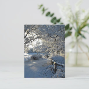 Cartão Postal Neve de Inverno
