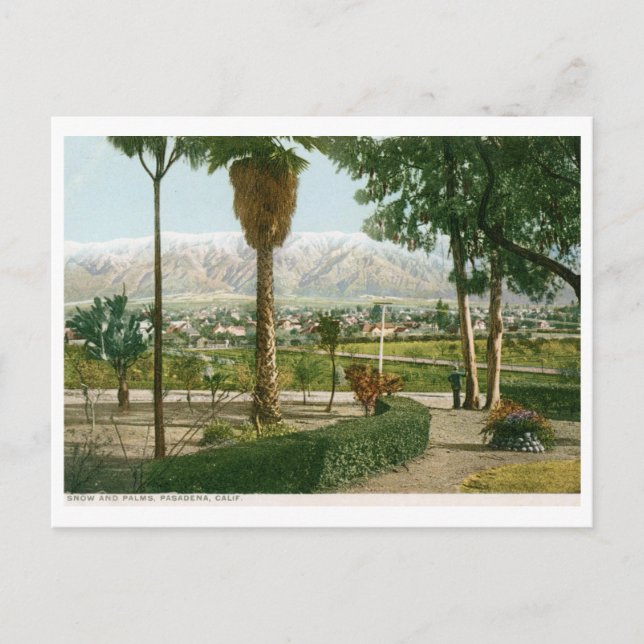 Cartão Postal Neve e Palmas, Pasadena CA Vintage (Frente)