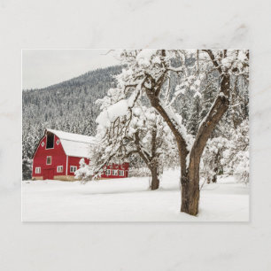 Cartão Postal Neve fresca no celeiro vermelho
