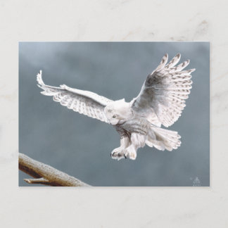 Cartão Postal Neves