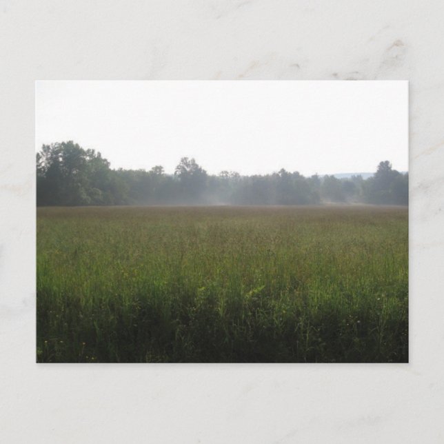 Cartão Postal névoa (Frente)