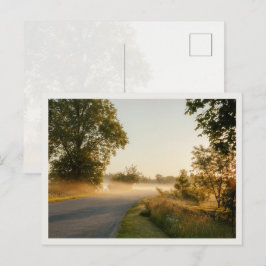 Cartão Postal Névoa Dourada da Manhã Estrada Rural