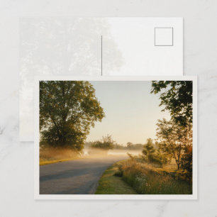 Cartão Postal Névoa Dourada da Manhã Estrada Rural