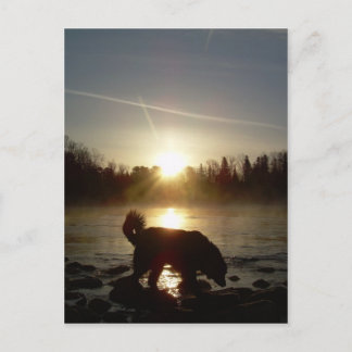 Cartão Postal Névoa sobre o rio Mississippi