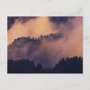 Cartão Postal Nevoeiro do inverno no vale ao pôr do sol de Morto