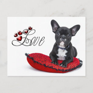 Cartão Postal Nevoeiro francês - francês - amor