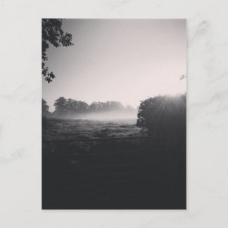 Cartão Postal Nevoeiro matinal e sol baixo no campo quando gota