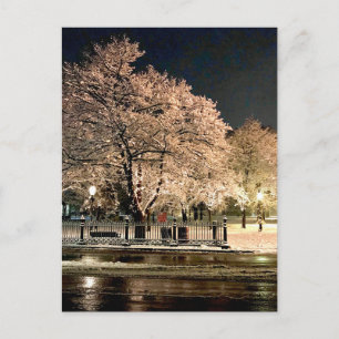 Cartão Postal Nevoeiro Noturno Salem Common Massachusetts Foto