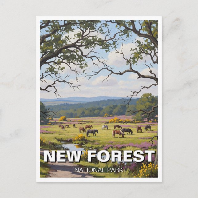Cartão Postal New Forest National Park Travel (Frente)