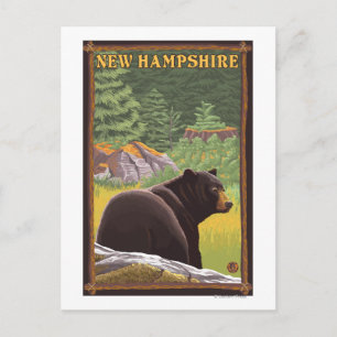 Cartão Postal New Hampshire Black Bear em Forest