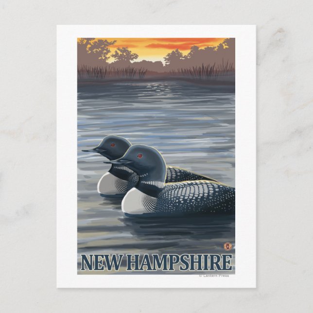 Cartão Postal New Hampshire Common Loon (Frente)