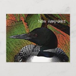 Cartão Postal New Hampshire Common Loon