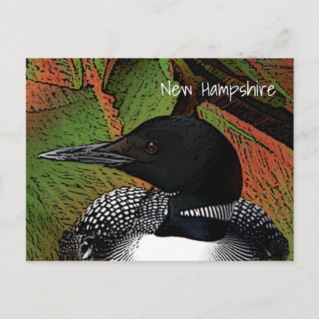 Cartão Postal New Hampshire Common Loon (Frente)