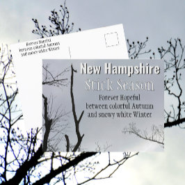 Cartão Postal New Hampshire Stick Season New England Photo