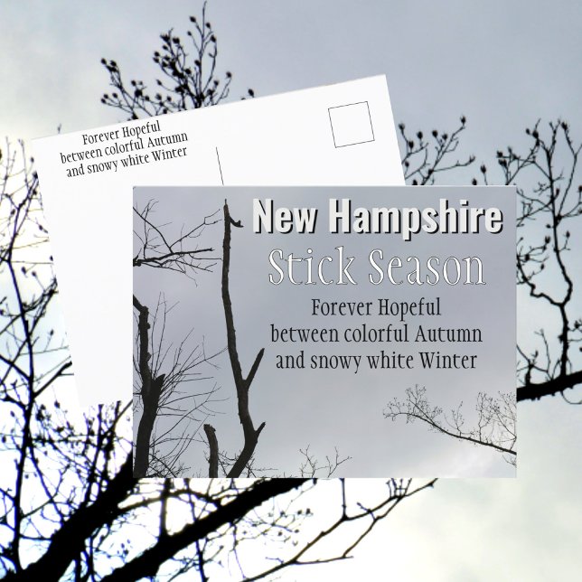 Cartão Postal New Hampshire Stick Season New England Photo (Criador carregado)