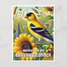 Cartão Postal New Jersey State Bird Eastern Goldfinch